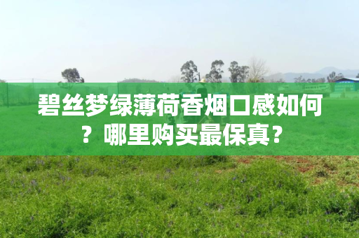 碧丝梦绿薄荷香烟口感如何？哪里购买最保真？